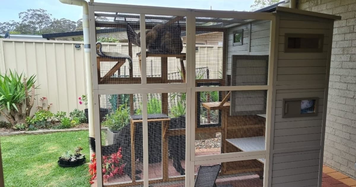 Heidi Cat Enclosure