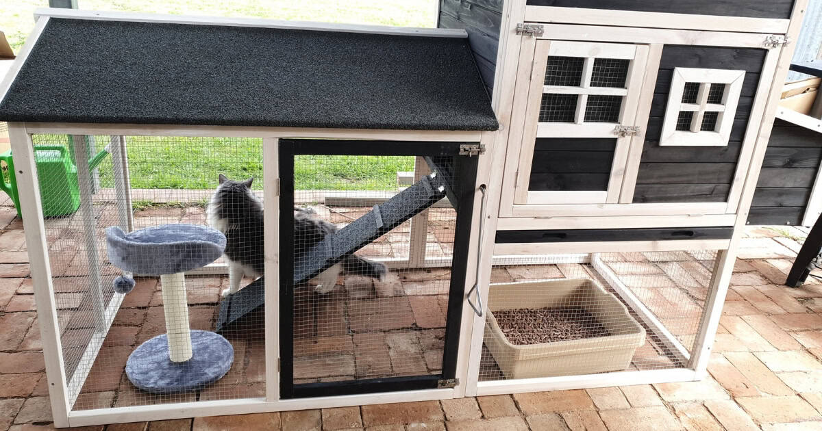 Mansion Cat Enclosure
