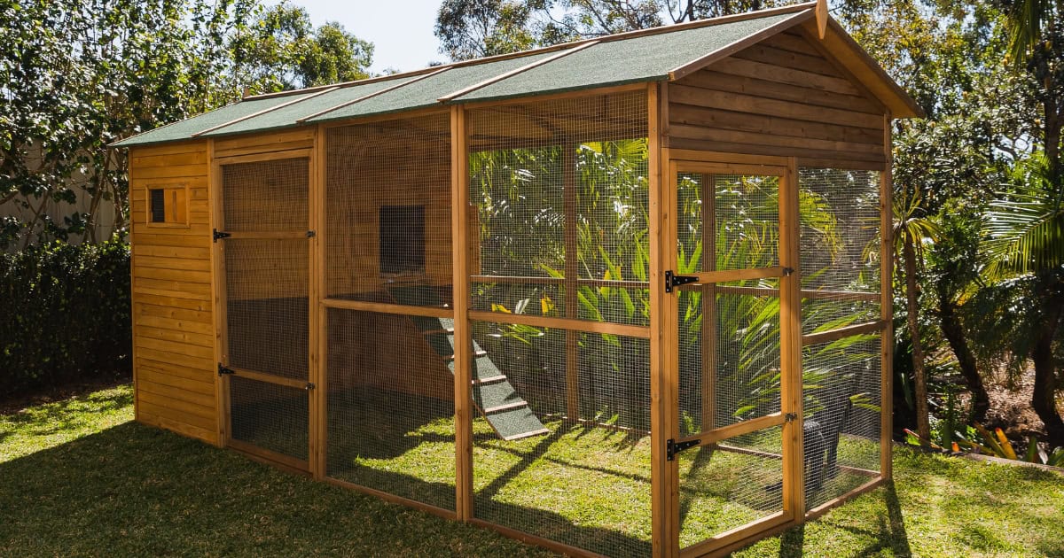 Catio cat enclosure
