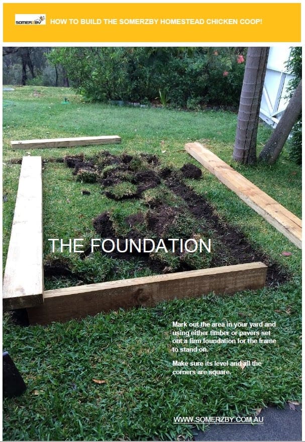 Building the Foundation for Chicken Coop