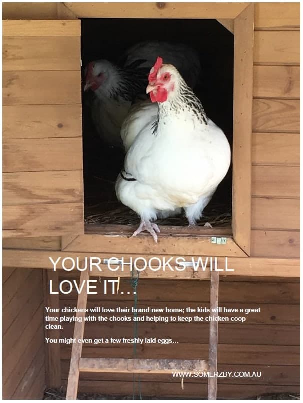 Chickens move into the new Chicken Coop