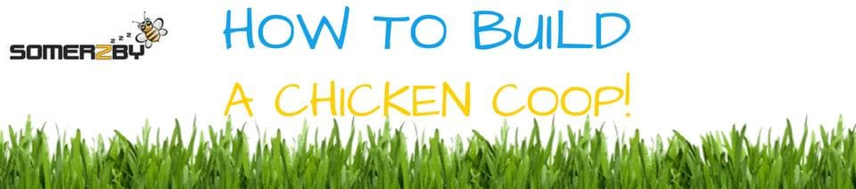 HOW TO BUILD A CHICKEN COOP