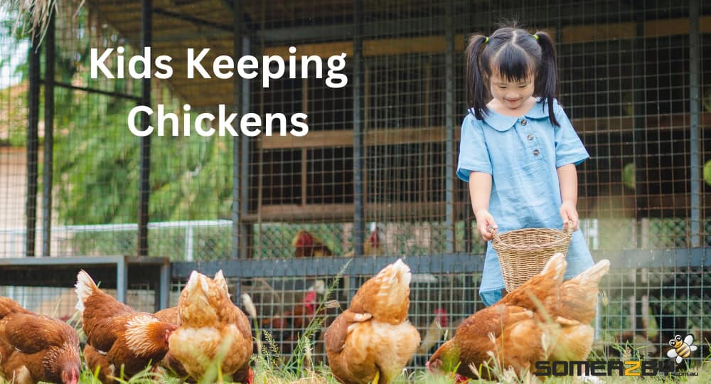 Kids Keeping Chickens