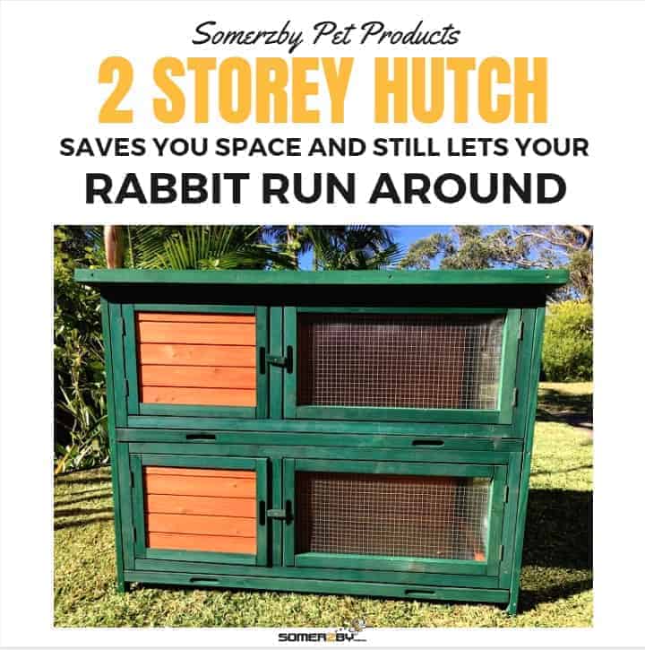 2 Storey Indoor Hutch saves space ands till has room for your rabbit to run around 