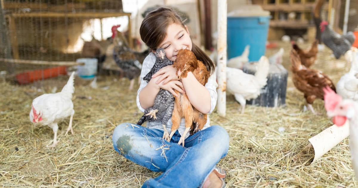 Chooks give better hugs