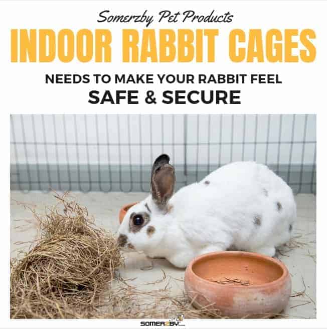 Indoor rabbit cages need to make your rabbit feel safe and secure