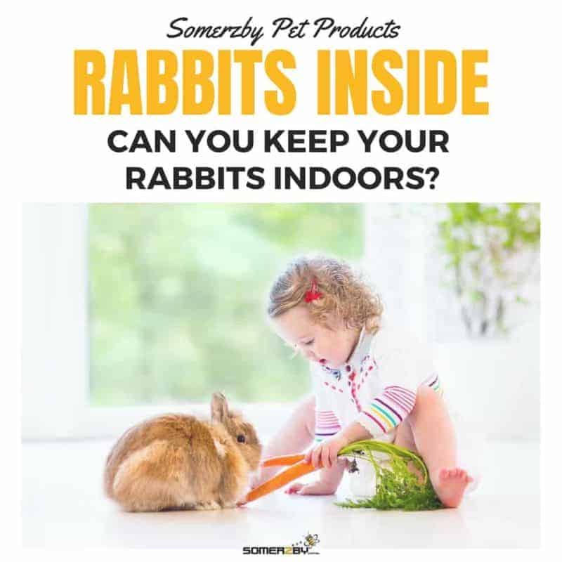 Rabbits Indoors - Can Your Keep Your Rabbit in a Cage Indoors