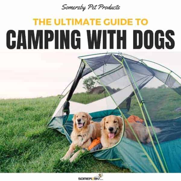 Camping with Dogs - A Guide to Dog Friendly Camping