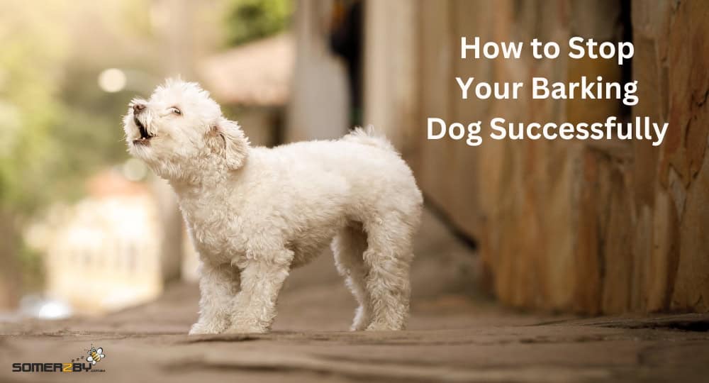 How to Stop Your Barking Dog Successfully