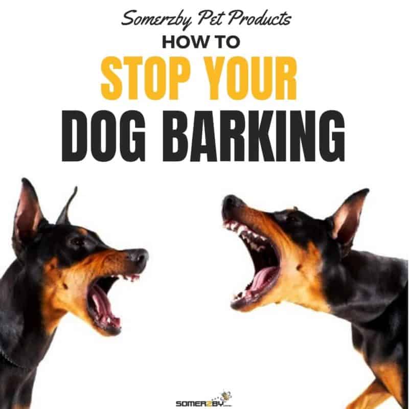 how to control your dog's barking