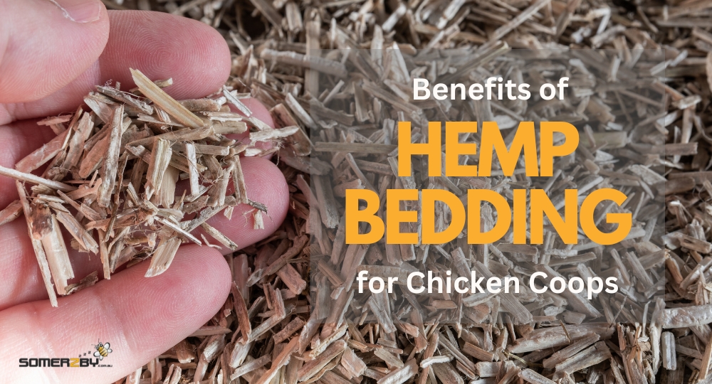 Benefits of Hemp Bedding for Chicken Coops