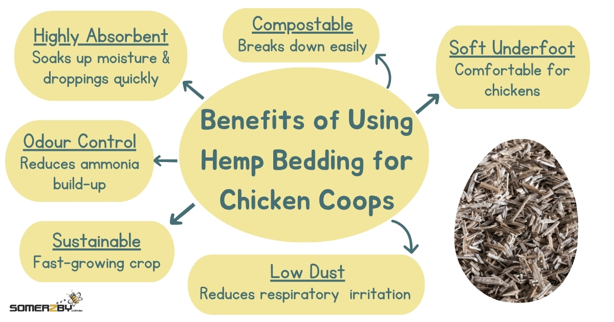 Benefits of Using Hemp Bedding for Chicken Coops - Infographic