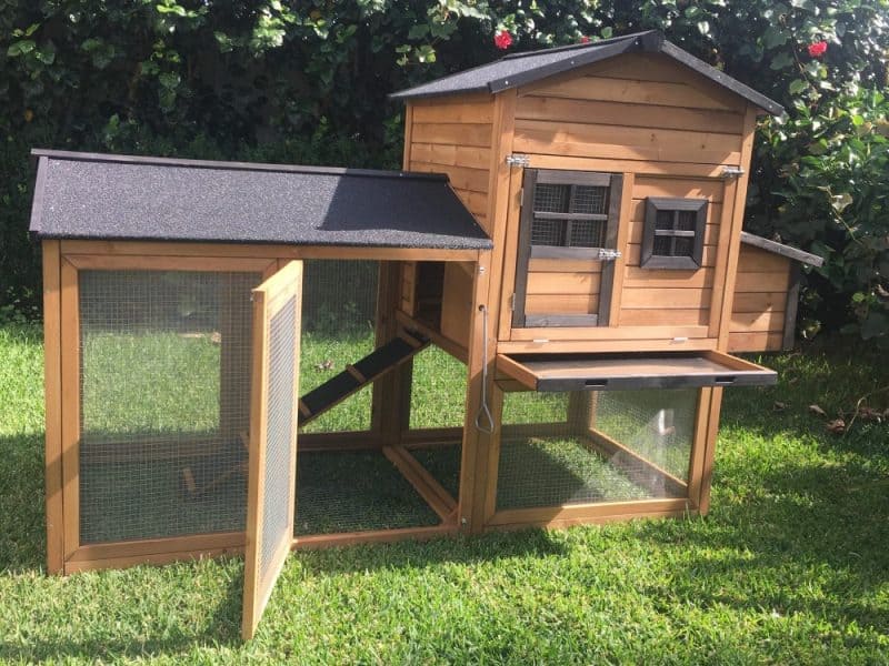 Super Deluxe Mansion for chickens