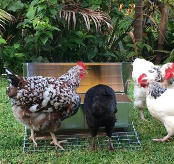 Automatic chicken feeder