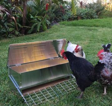 Automatic chicken feeder