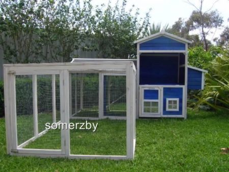 Guinea Pig Mansion hutch and run