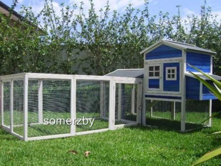 Blue and white Hutch and Run