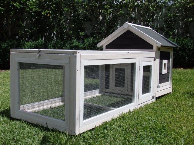 deluxe cottage and run for guinea pig