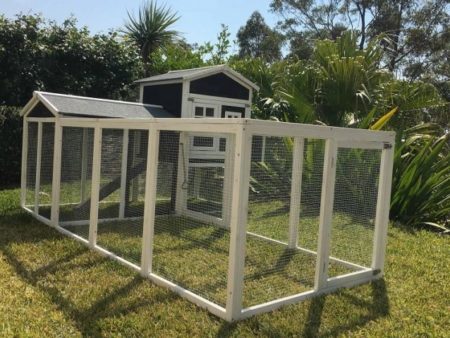 Guinea Pig Mansion hutch and run side view