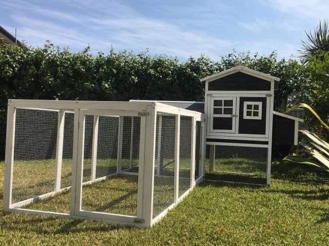 guinea pig mansion