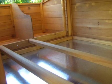 Inside view of wood