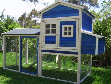 Mansion blue and white Guinea Pig hutch