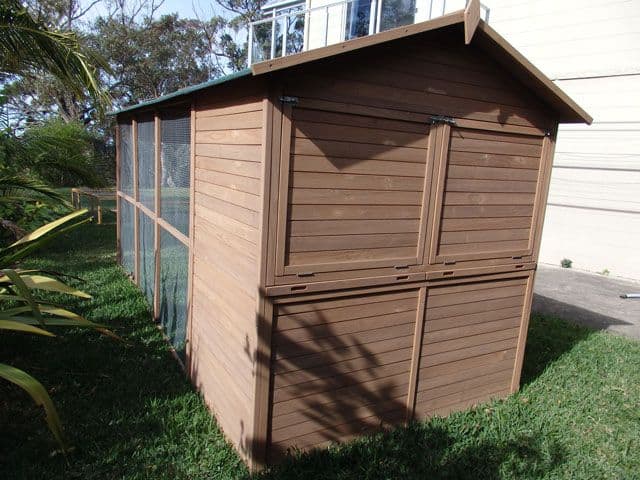 Rear view of Catio