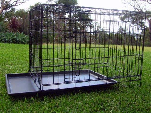 Small Collapsible Dog Crate 24