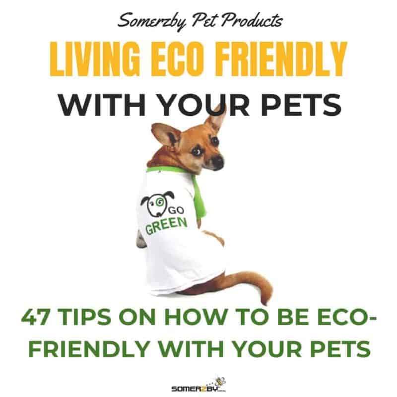 47 TIPS ON HOW TO BE ECO-FRIENDLY WITH YOUR PETS
