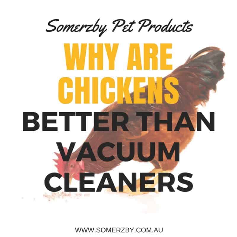 Why are chickens better than vacuum cleaners