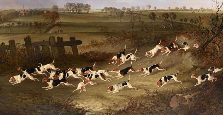 Beagles hunting painting