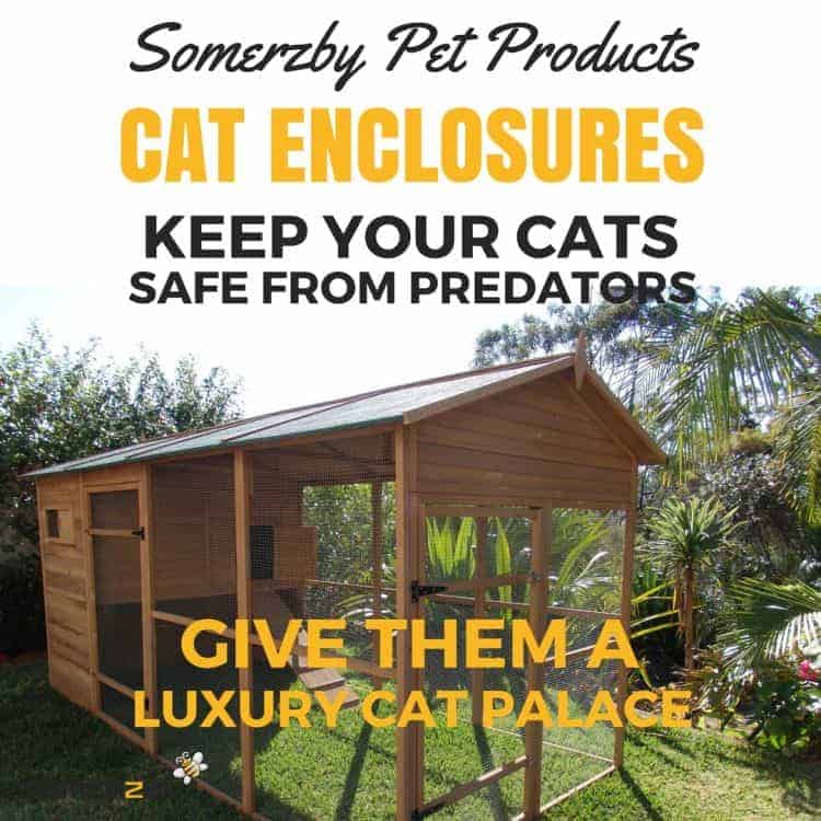 cat enclosures