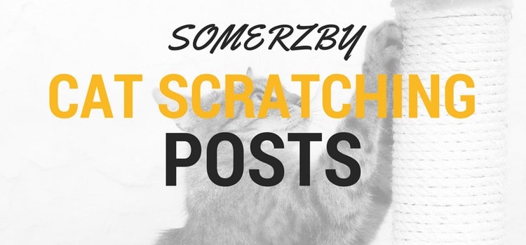 Cat Scratching Posts by Somerzby