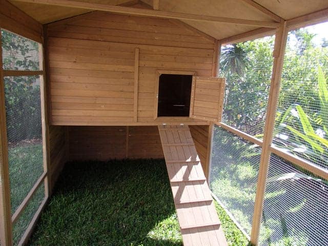catio cat enclosure interior