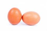 Chicken eggs