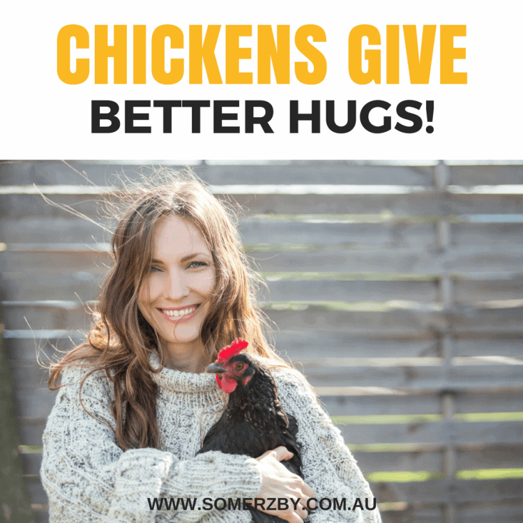 Chickens give better hugs