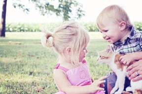 Children being introduced to pet Children being introduced to pet