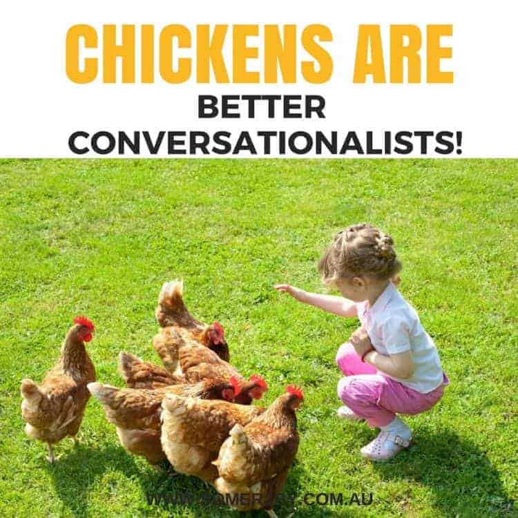 chooks are better conversationalists