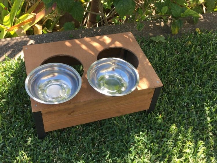 Convenient food and water bowls with stainless steel bowls