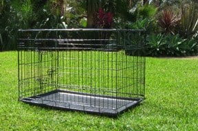 dog crate training