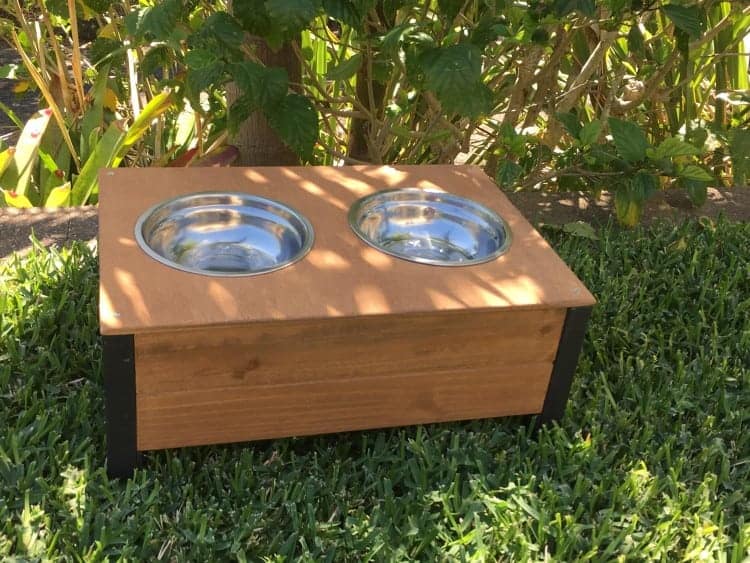 Elevated food and water bowls with stainless steel bowls