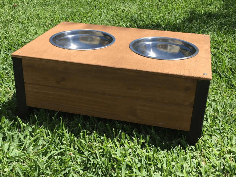 Elevated food and water with stainless steel dog bowls