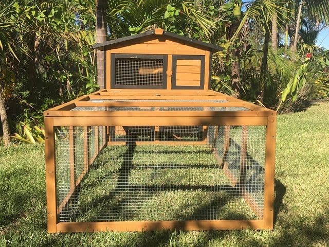 End view of Guinea pig hutch and run