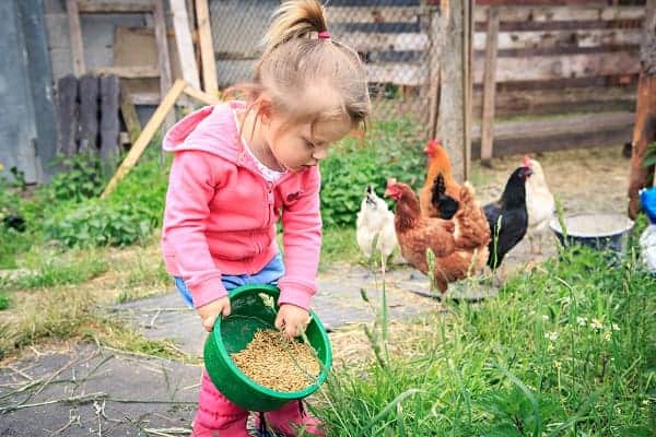 Farmers Daughter