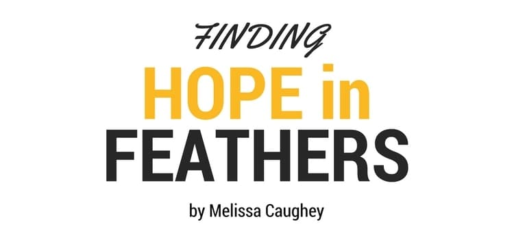 Finding hope in feathers