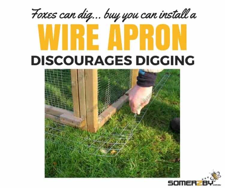 Foxes can dig, consider installing a wire apron to stop digging