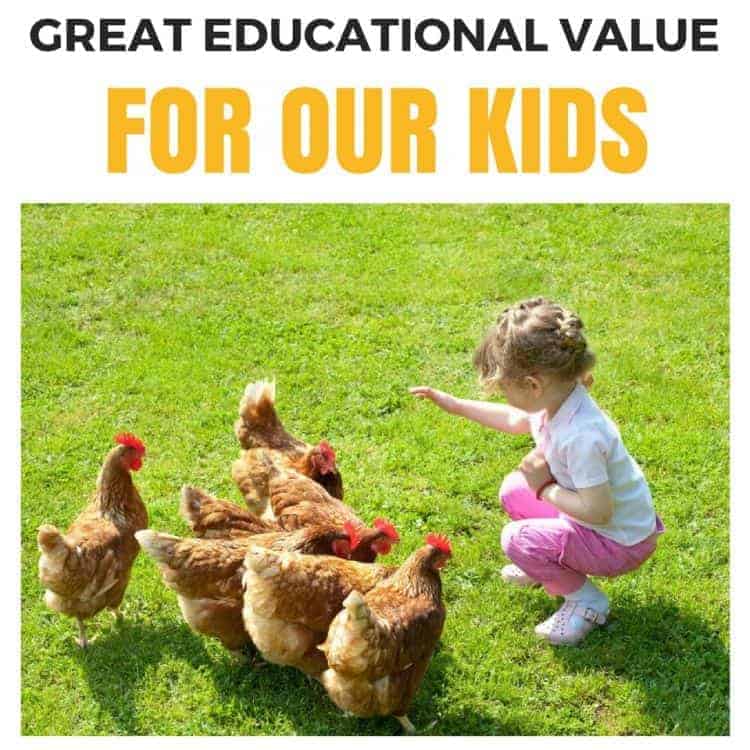 Great educational value for kids