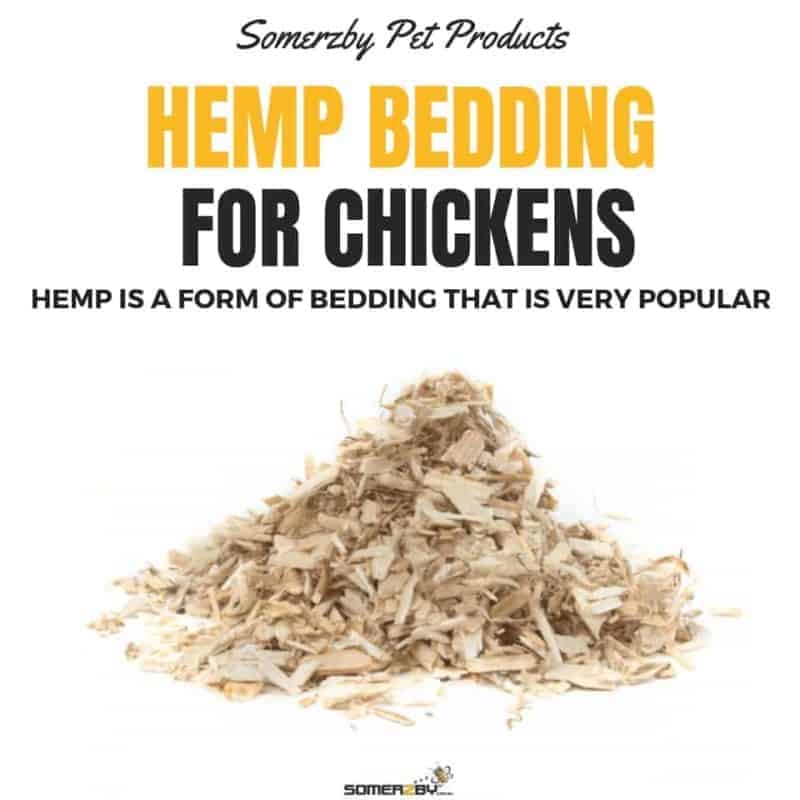 Hemp is a form of animal bedding that is booming in popularity