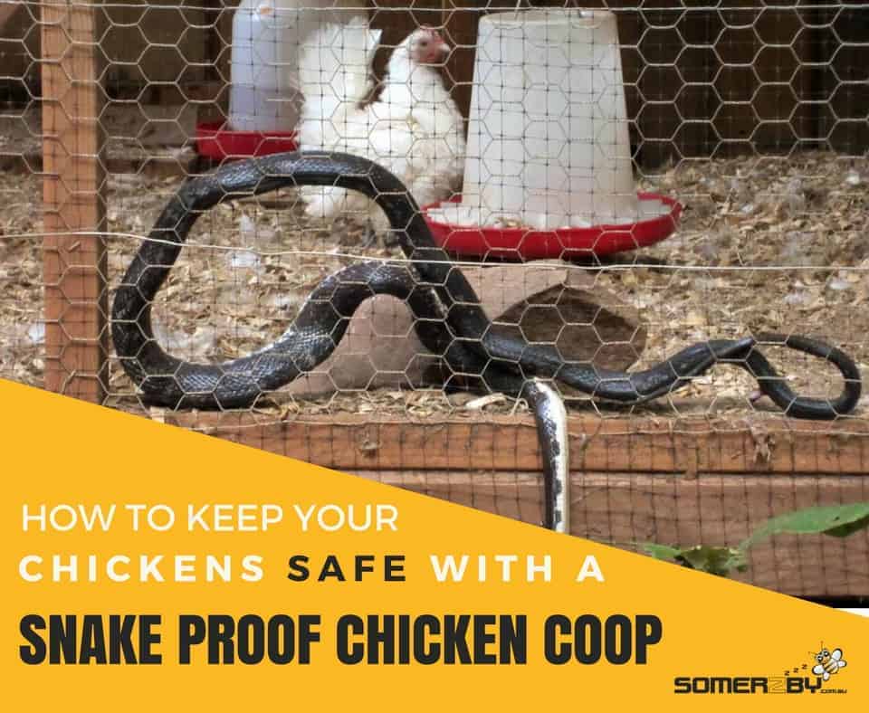 How Do I Keep Snakes Out Of My Chicken Coop?