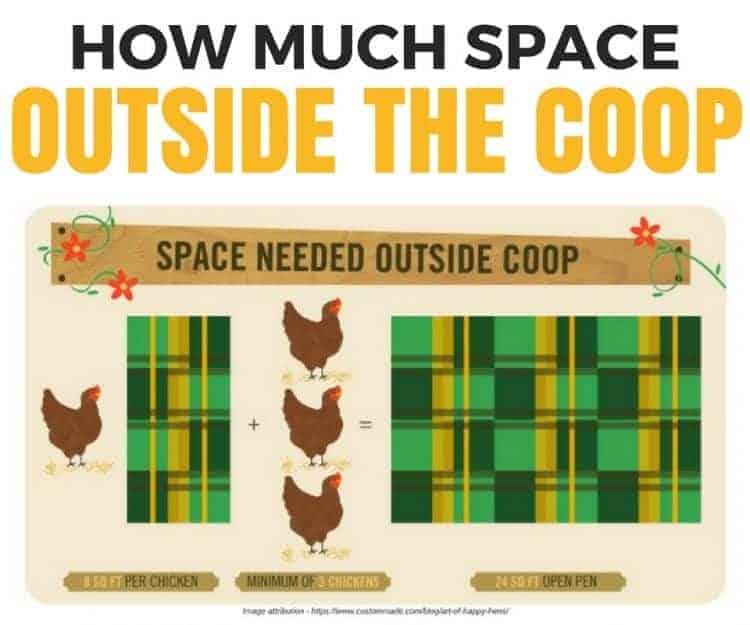 How much space outside the coop does a chicken need